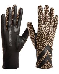 Isotoner - Smartdri Smartouch 3 Button Length Chevron Gloves - Lyst