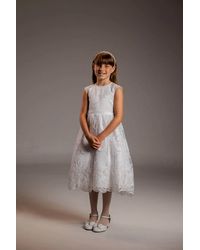 Petite Adele - Christi Lace Dress - Lyst