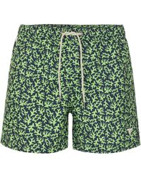 Fred Mello - Summer Vibes Green Beach Shorts For Men - Lyst