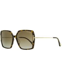 Tom Ford - Joanna Butterfly Sunglasses Tf1039 52h Havana/gold 59mm - Lyst