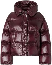 Pinko - Cropped Padded Jacket With Glossy Finish And Wide Collar - Lyst