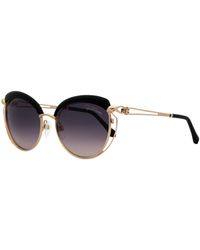 Roberto Cavalli Casola Butterfly Sunglasses Rc1032 01b Shiny 56mm 1032 - Black