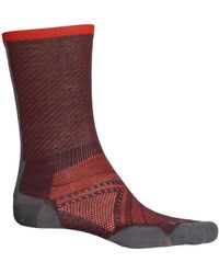 Smartwool Wool Phd Pattern Capri Tights 