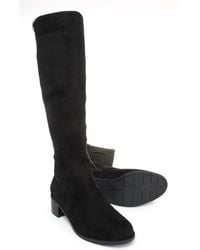 niah suede tall boots