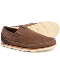 chaco zealander clogs