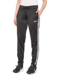 dazzle track pants price