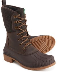 botkier women's winter leather lace up boots