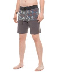 Hippytree Blue For Short Lyst Board Men Fragment In hsdCQrt