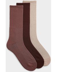 Le 31 - Solid Organic Cotton Blend Socks 3 - Lyst