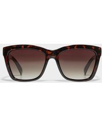 Simon's - Polarized Massive Cats - Lyst