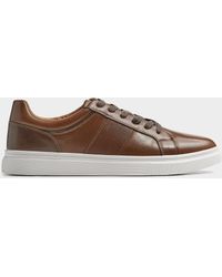 Steve Madden - Stormz Court Sneakers Men - Lyst