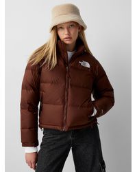 brun puffer jacket north face