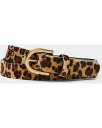 Simon's - Spotted Pony Hair Leather Belt - Lyst
