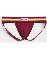 Coyote Jocks - Varsity Stripe Jockstrap Cotton - Lyst