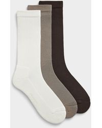 Le 31 - Padded Stretch Ribbed Socks - Lyst