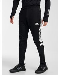 black addidas sweats