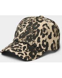 Simon's - Leopard Print Baseball Cap - Lyst