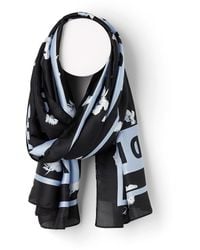 dkny scarves