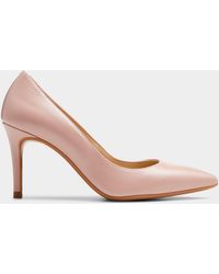 Ted Baker Pump shoes for Women | Black 