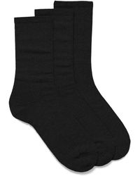 Le 31 - Solid Organic Cotton Blend Socks 3 - Lyst