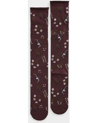 Simon's - Bird And Flower Rolled - Lyst