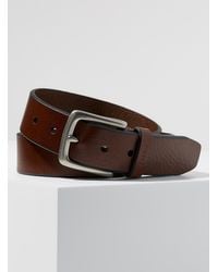 fossil artie belt