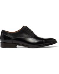 steve madden brogues