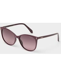 Polaroid - Polarized Rounded Sunglasses - Lyst