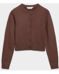 Contemporaine - Essential Solid Boxy - Lyst