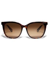 polaroid rectangular sunglasses