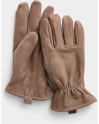 Auclair - Taupe Suede Gloves - Lyst
