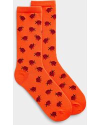 Simon's - Little Ladybug Socks - Lyst