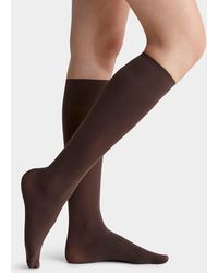 Simon's - Solid Opaque Knee - Lyst
