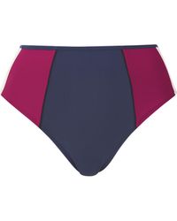 Panache - Limitless Classic Bikini Pant - Lyst