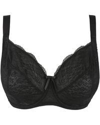 Freya - Fancies Balcony Wired Bra - Lyst
