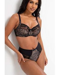Pour Moi - Sofia Lace Deep Brief - Lyst