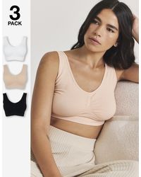 Pretty Secrets - 3 Pack Comfort Tops - Lyst