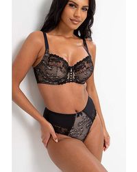 Pour Moi - Sofia Lace Deep Brief - Lyst