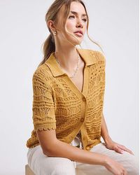 Simply Be - Pointelle Collared Knit Top - Lyst