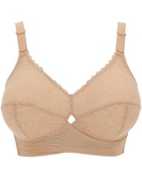 berlei non wired bras