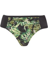 DORINA - Curves Kano Bikini Brief - Lyst