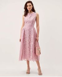 Monsoon - Lydia Sleeveless Lace Midi Dress - Lyst