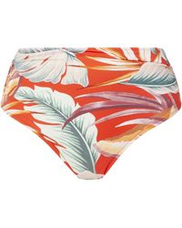 Fantasie - Bamboo Grove Full Bikini Brief - Lyst