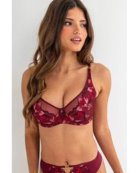 Pour Moi - Rhea Embroidered Full Cup Bra - Lyst