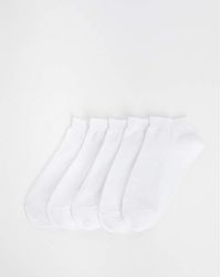 Pretty Secrets - 5 Pack Super Value Trainer Liner Socks - Lyst