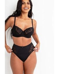 Pour Moi - St Tropez High-Waist Deep Brief - Lyst