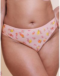Curvy Kate - Spellbound Brazilian Brief - Lyst