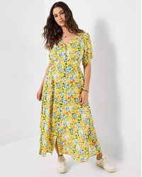 Joe Browns - Joy Of Summer Dress - Lyst
