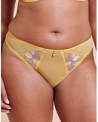 Curvy Kate - Limoncello Tanga Brief - Lyst