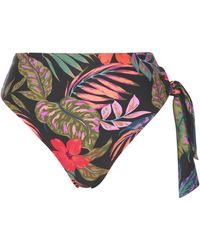 JD Williams - Hawaii Bikini Briefs - Lyst